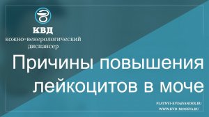 80  Причины повышения лейкоцитов в моче