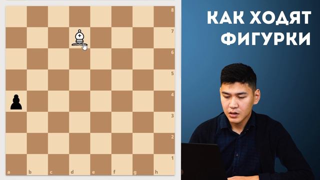 Урок 4. Как ходят шахматные фигуры смотреть онлайн