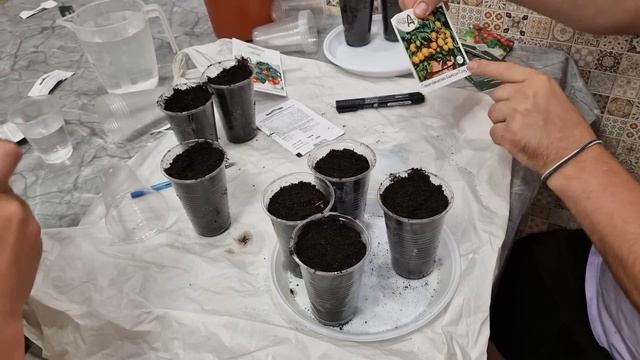 огород на подоконнике! начало! смотреть онлайн