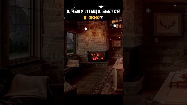 К ЧЕМУ ПТИЦА БЬЕТСЯ В ОКНО? смотреть онлайн
