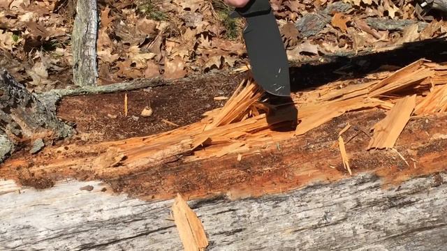 Scar Blades Papa Bear and Bear: Knives Done Right | Survival, Bushcraft, Camping смотреть онлайн