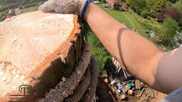 Best Quality POV arborist tree removal by certified Arborist GOPRO TREE WORK смотреть онлайн