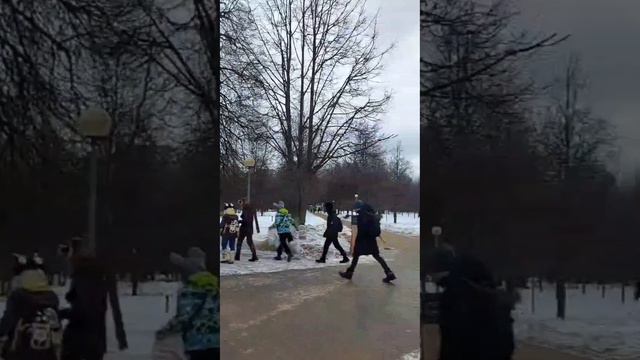 Прогулка по Воронцовскому парку. 24.12.23.🤟😊🐾#furries#фурри#раптор#подпишись#прогулка#эрик#фурсьюте смотреть онлайн