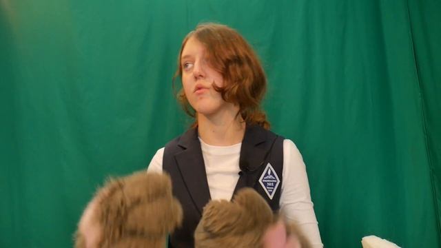 Фурри и фурсьют - что это?