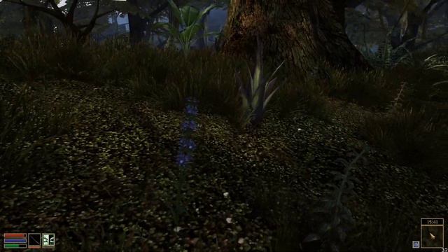 Morrowind(fullrest Repack 3.0) - неспешное прохождение #1