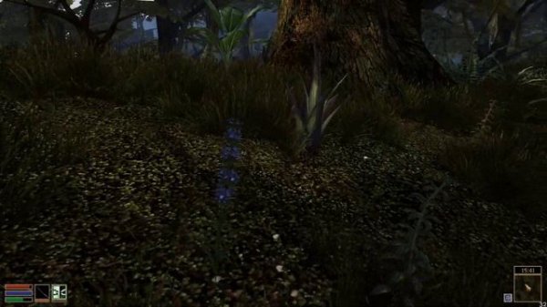 Morrowind(fullrest repack 3.0) - неспешное прохождение #1