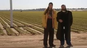 джей и молчаливый боб - заповеди