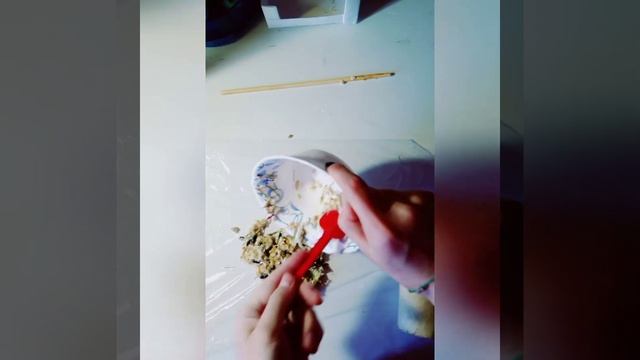 Съедобный тоннель для грызунов смотреть онлайн