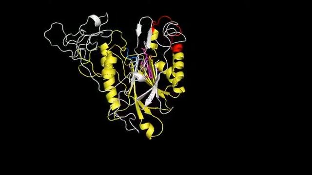 NGL3 Structure Spin смотреть онлайн