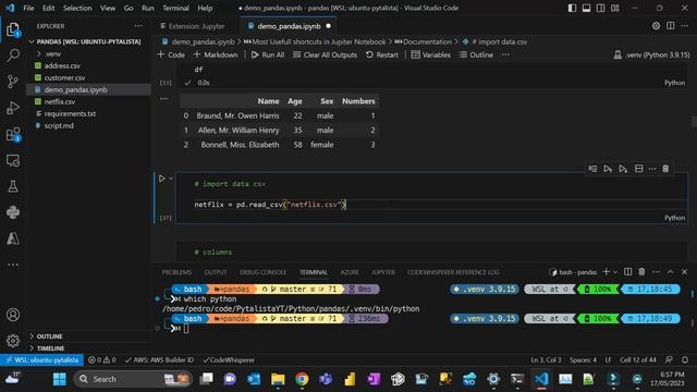 Using Jupyter Notebooks Extension in VS Code (Pandas Tutorial) [Part 1/2] смотреть онлайн
