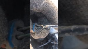 Замена фишки коленвала ваз 2114