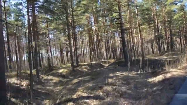СПБ - Комарово на велике (San Pietroburgo - Komarovo in bici) смотреть онлайн