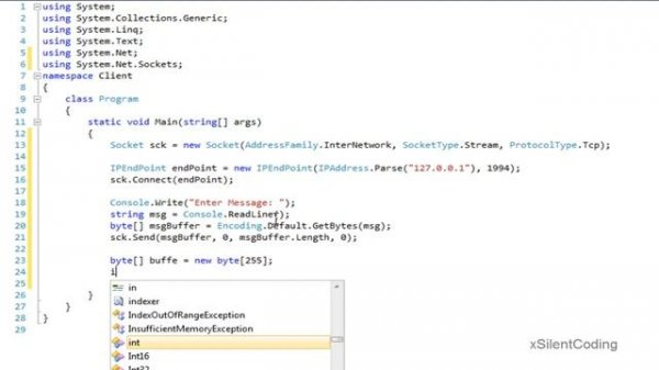 C# Socket Basics - Client