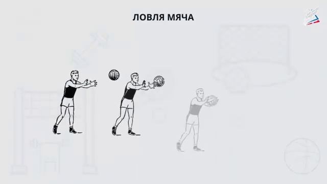 Основные приемы игры, стойка баскетболиста, передача, ловля и ведение баскетбольного мяча смотреть онлайн