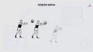 Основные приемы игры, стойка баскетболиста, передача, ловля и ведение баскетбольного мяча