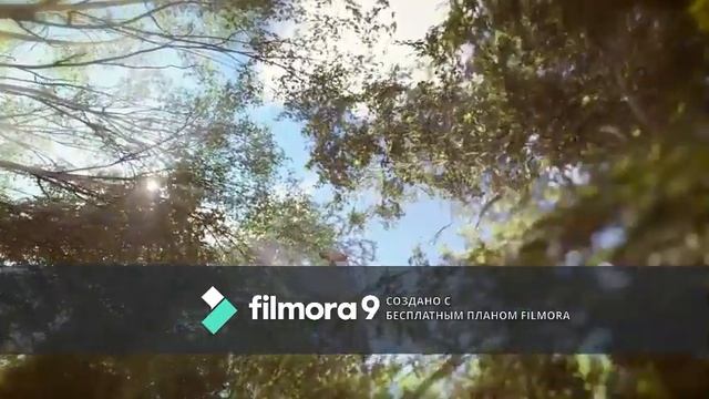 Белый шум. Пение птиц и шум водопада. смотреть онлайн