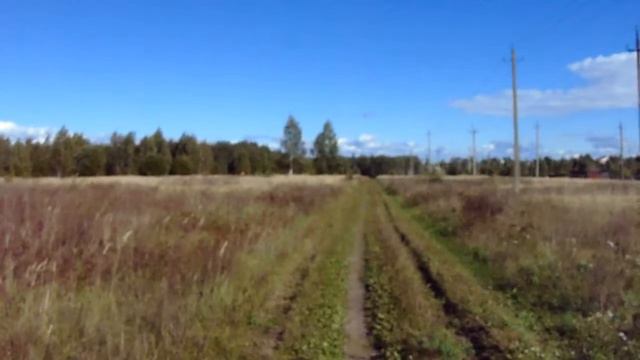 природа средней полосы смотреть онлайн