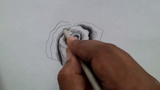 How to draw rose flower sketch / easy flower drawings in pencil step by step смотреть онлайн