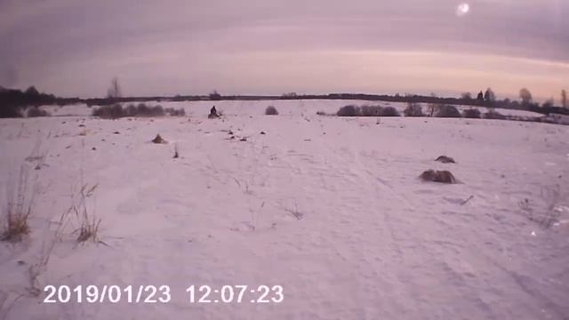 Прохват на ирбисе хр 250 р смотреть онлайн