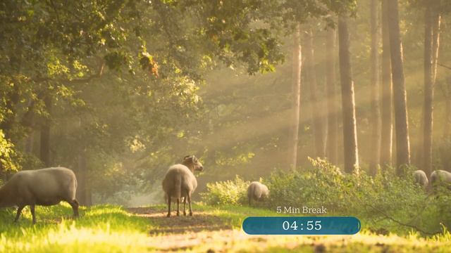 5-Hour Study with Me | Pomodoro Timer, Lofi Relaxing Music | Day 78 смотреть онлайн