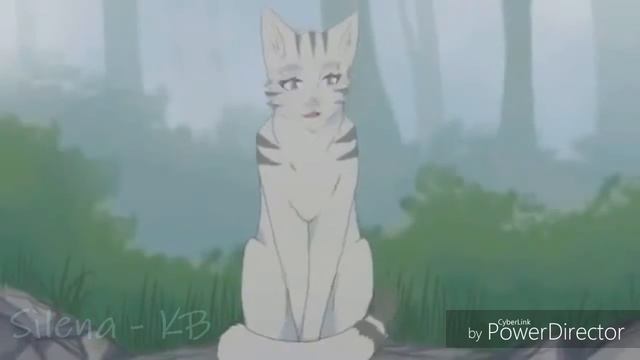 Коты воители память о Серебрянке смотреть онлайн