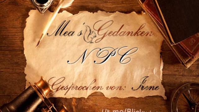 NPC (Неигровой персонаж)