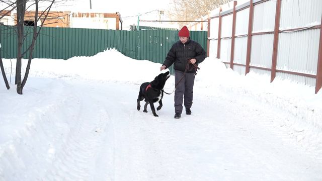 Изюм видео 2022 1