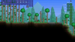 Дублирование вещей в Terraria!