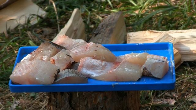 Жор щуки на Братском водохранилище в октябре. Рыбацкие хроники. Иркутск смотреть онлайн