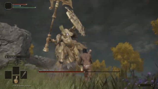Elden Ring - Niveau 1 VS Sentinelle de l'Arbre [Ultrawide 21:9] смотреть онлайн
