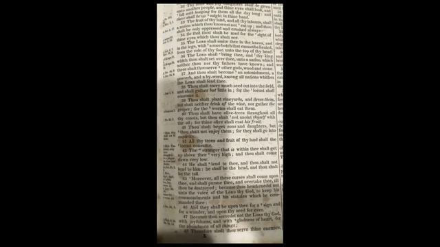 Our land is here, in the Americas! I will support this claim using the scriptures!! смотреть онлайн