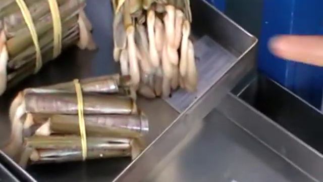 Лавочка морепродуктов в Португалии смотреть онлайн