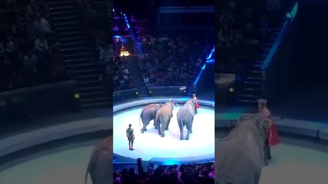 Цирк на проспекте Вернадского, Москва, декабрь 2022г. смотреть онлайн