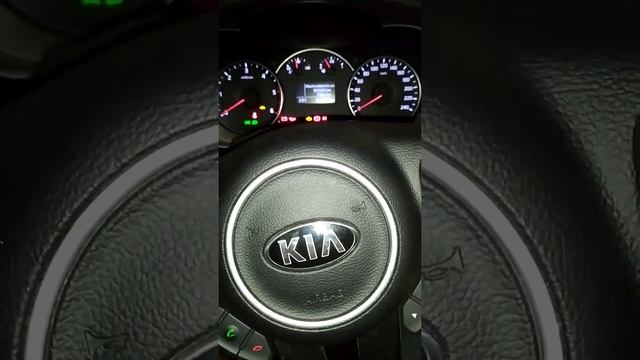 Reset service Kia Carens 2017. Reset revision смотреть онлайн