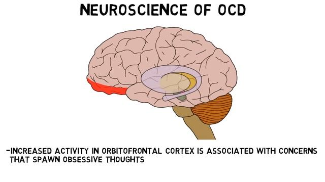 2-Minute Neuroscience: Obsessive-Compulsive Disorder (OCD) смотреть онлайн