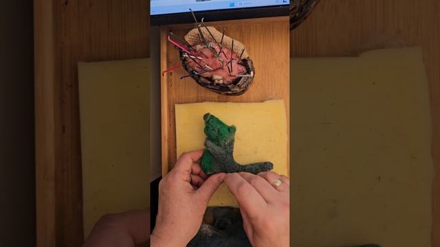С днём рождения тебя ,новое создание и маленькая радость.#motivation #felting #diy смотреть онлайн