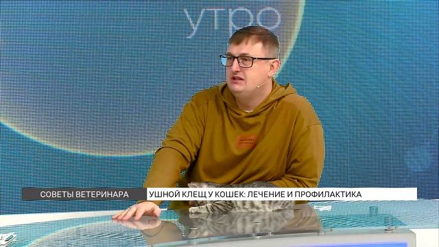 Секреты Профессионала