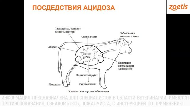 Причинно-следственные связи абортов у коров смотреть онлайн