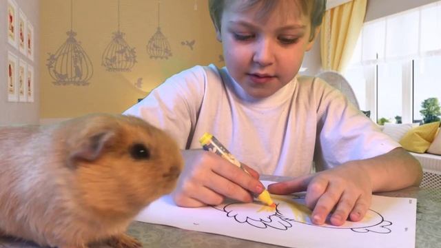 Рисуем фломастерами и добавляем волшебство с Сашей Акимовым и морской свинкой Чижиком смотреть онлайн