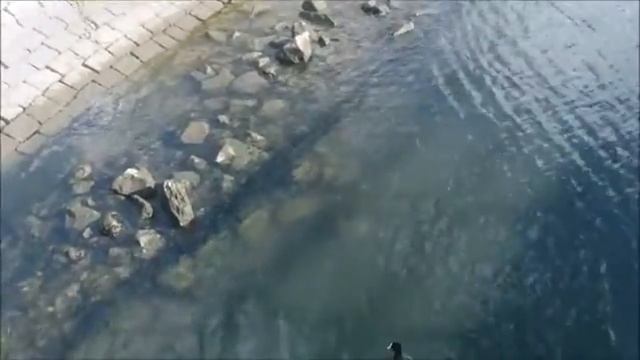 Святой Николай покровитель моряков и сами моряки смотреть онлайн