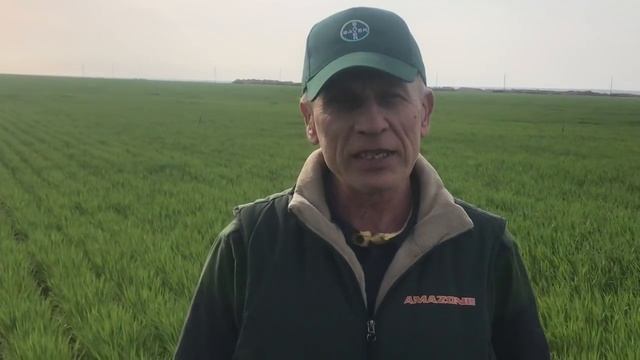 Опрыскивание нормой 18 л/га рабочего раствора смотреть онлайн