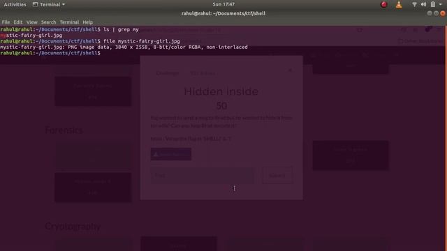 Hidden Inside | SHELL CTF | CTF For beginners смотреть онлайн