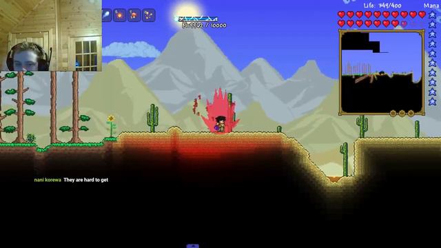 Terraria Dragon Ball Terraria Stream #11 | NEW UPDATE :) смотреть онлайн