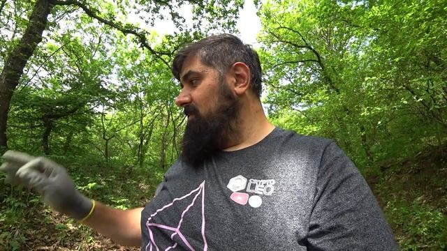 Нашел горстку монет Minelab Vanquish 340 смотреть онлайн