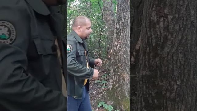 Что делать если на вас напала бродячая собака смотреть онлайн