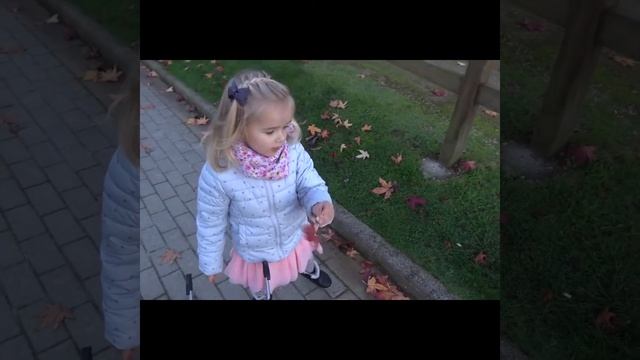 Птицы перелетные песня для детей смотреть онлайн