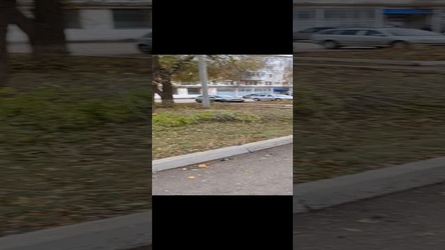 Опиловка в Отрадном у школы 10 смотреть онлайн