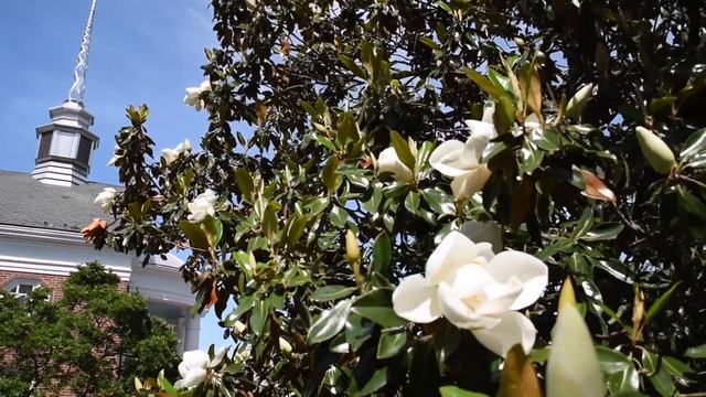 4/25/2021 Community Worship: Earth Day Sunday – Becoming… Sacred Ground смотреть онлайн