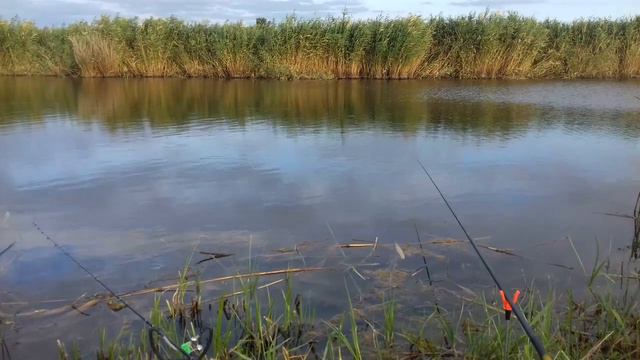 Ловля крупного карпа... не удалась))). Тест Flagman Cast Master Picker 2.7м 40г смотреть онлайн