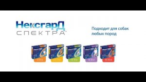 Merial RU - НексгарД Спектра – новая таблетка для собак от клещей, блох и глистов